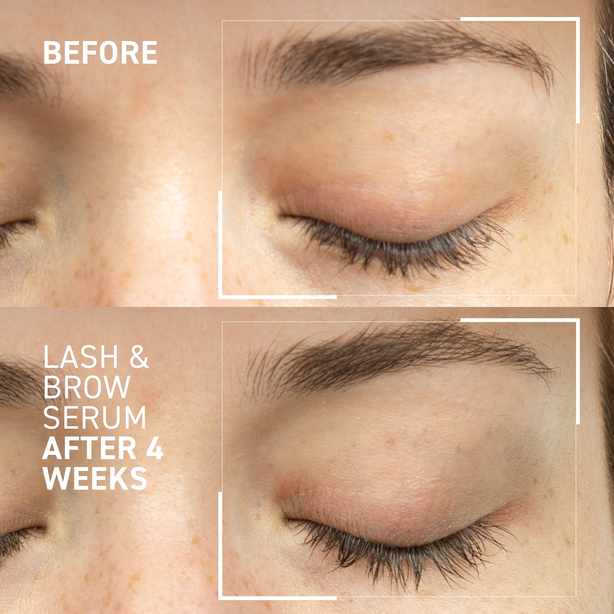 Lash and Brow Serum