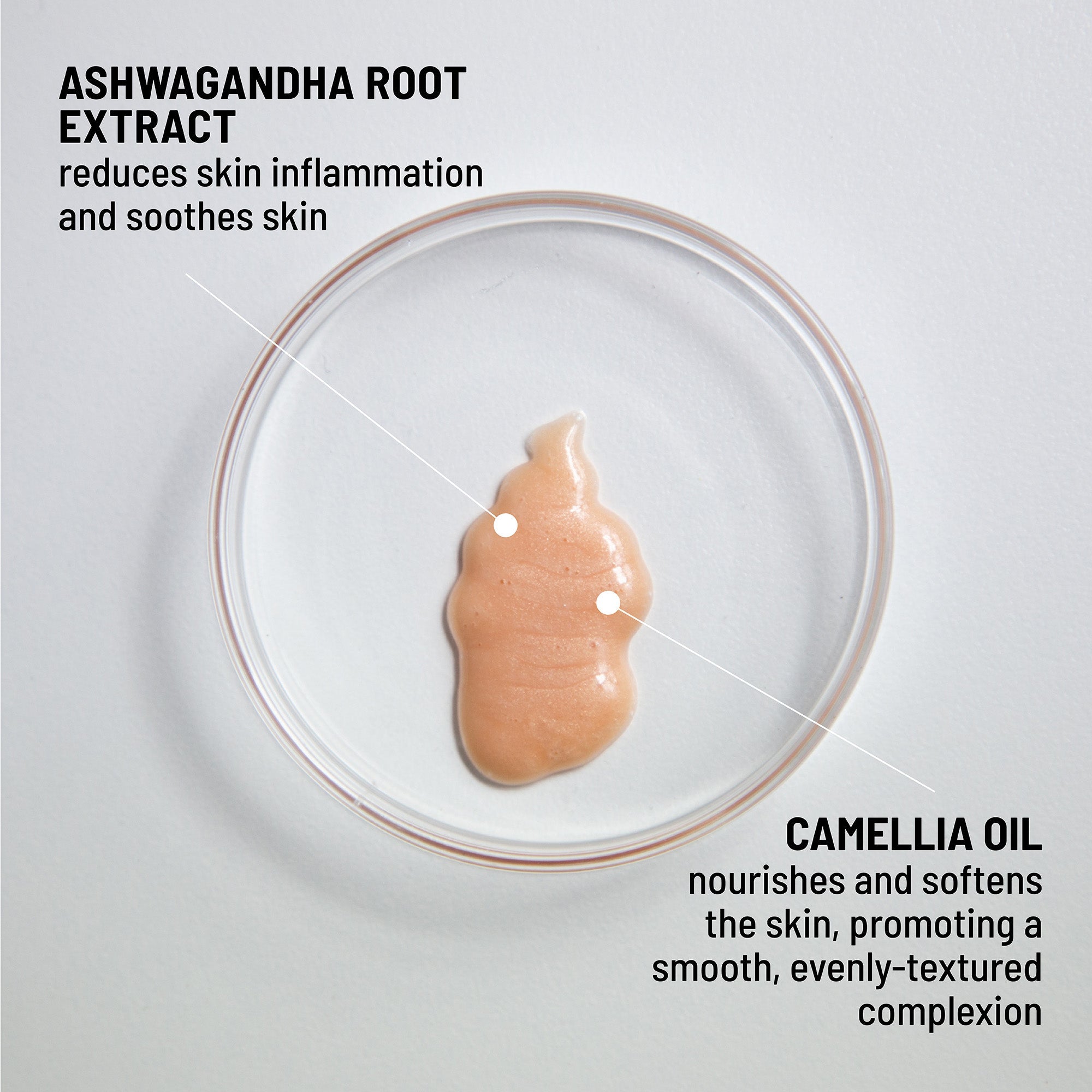 Hydrating Serum-to-Highlighter (Avail - June 26)